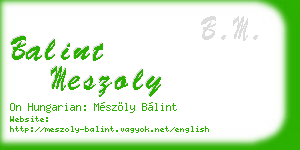 balint meszoly business card